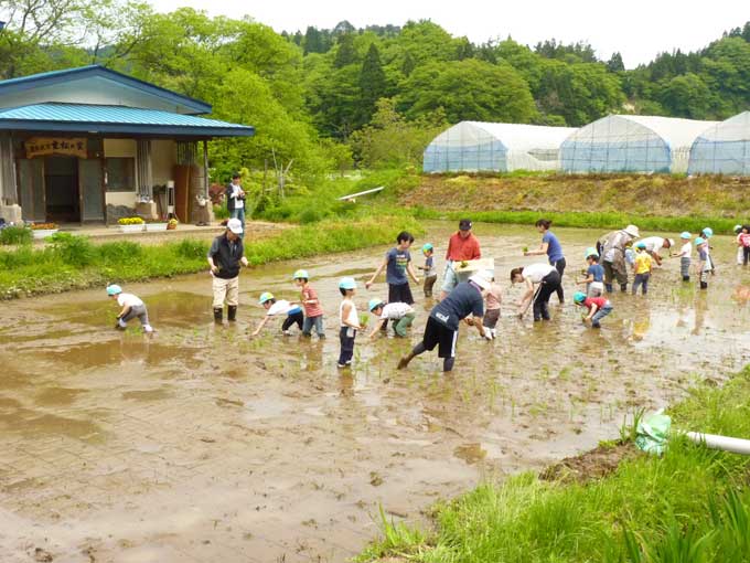 農家民宿「重松の家」の田植え体験受け入れ