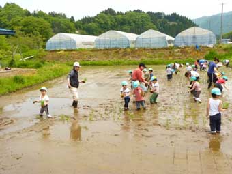 子どもの田植え