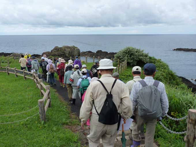 「OGA西海岸・桜島苑地を歩こう！」の様子