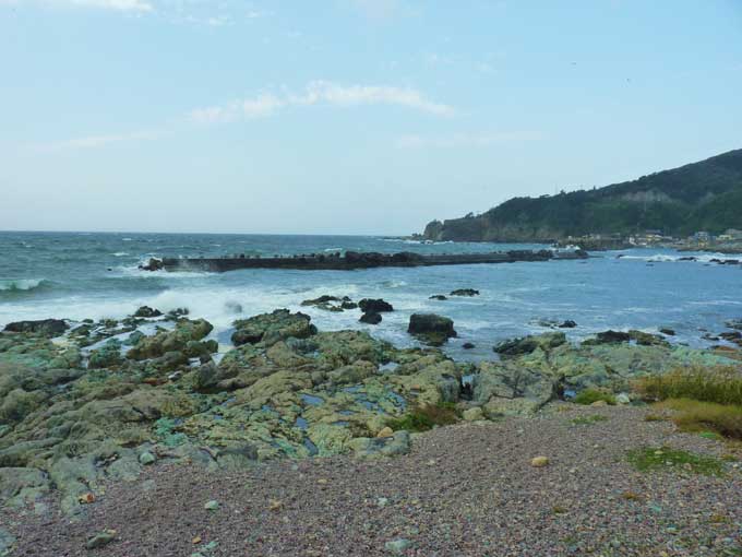 kamoaosa
