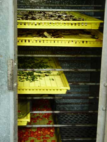 地熱利用の乾燥野菜