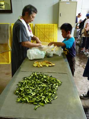 地熱利用の乾燥野菜