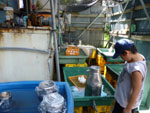 栗駒フーズ工場見学