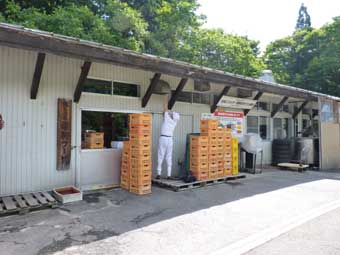栗駒フーズ工場見学