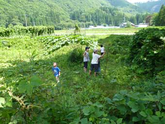 自然で遊ぶ子どもたち