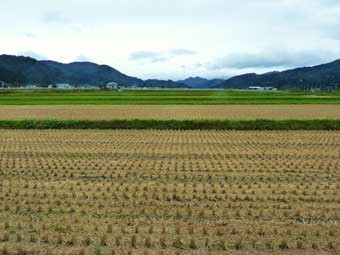 湯沢市・稲刈り後の田んぼ