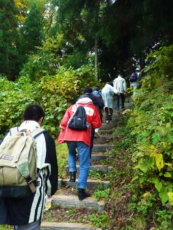 女滝沢森林浴歩道（ブナ林）ウォーキング