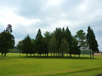 北欧の杜公園内