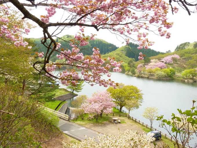 八塩いこいの森