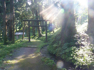 今木神社鳥居