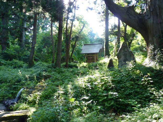 滝の頭水源地