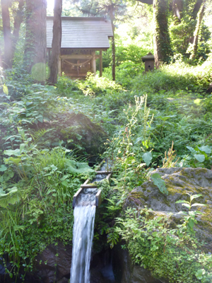 滝の頭水源地