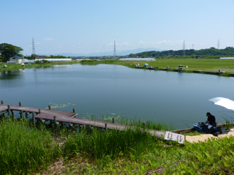 通称「ヤブレ」沼