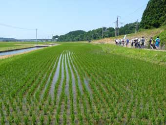 ウォーキング