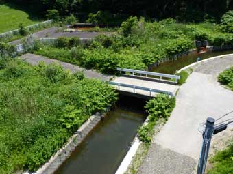 仁井田堰