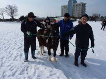 pony-1