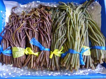 「湯口内生活研究グループ」の山菜