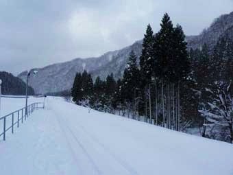 秋田内陸線