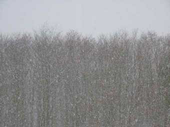 吹雪の秋田市河辺
