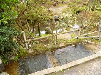 道端の湧水