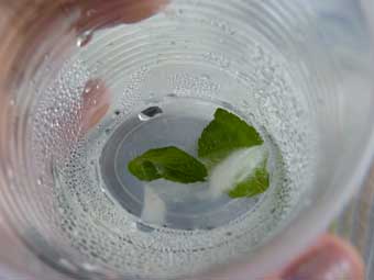 ミント水