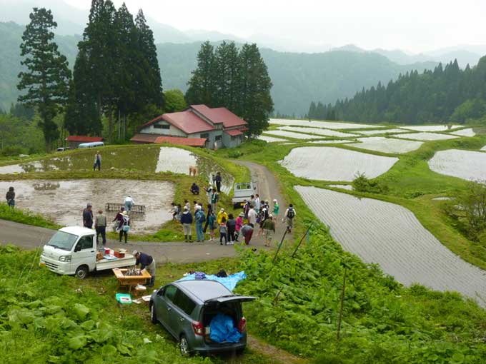 横倉の棚田全景（田植え後）