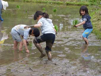 子どもの田植え