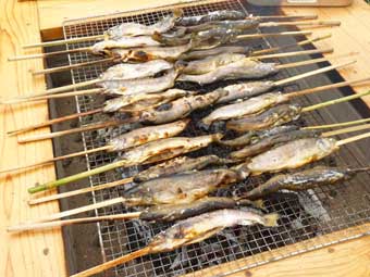 岩魚