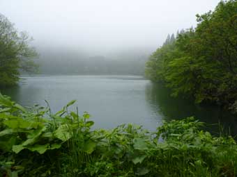 水無沼
