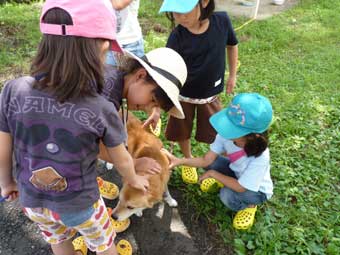 ぶなっこ教室前の犬