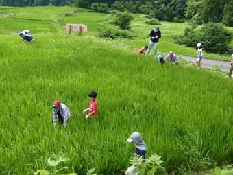 草刈りの光景