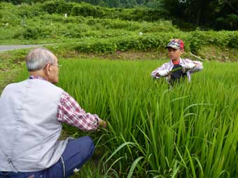 市川善吉さんに、やり方を聞く