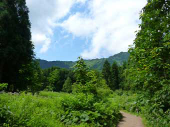 駒ケ岳