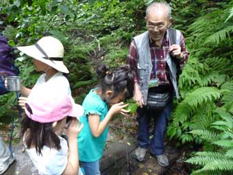 白神の恵みである湧き水をいただく