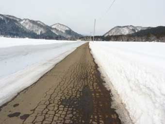 kouyaoohashi-course